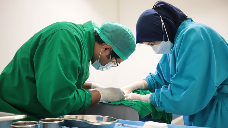 Dokter Spesialis/Subs